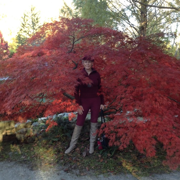 Meet your Posher, Dolly - Picture 8 of 8